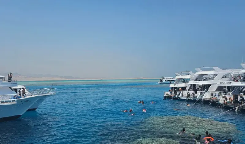 Dive the Canyon and Hidden Reefs of Dahab
