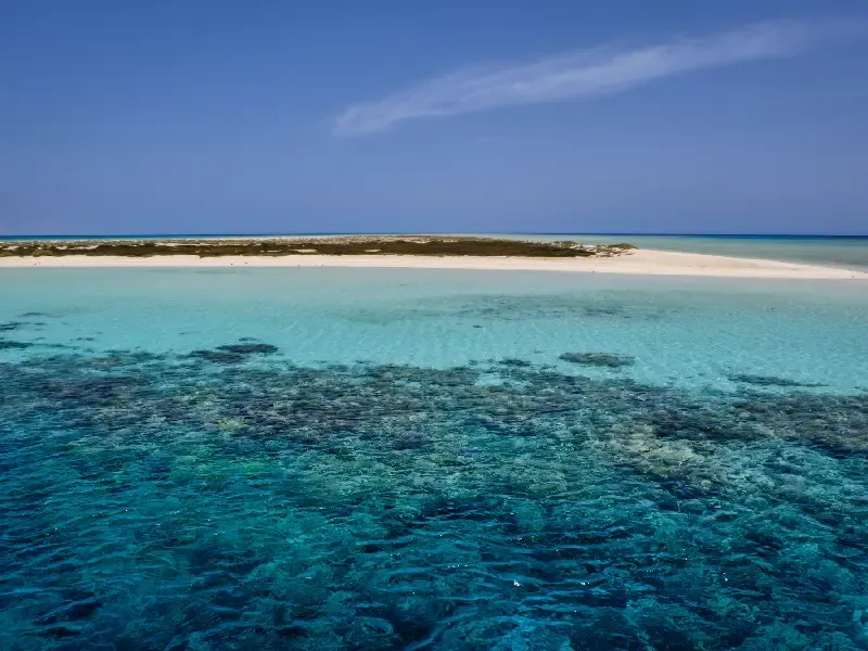 Why the Red Sea is Perfect for Wellness Retreats