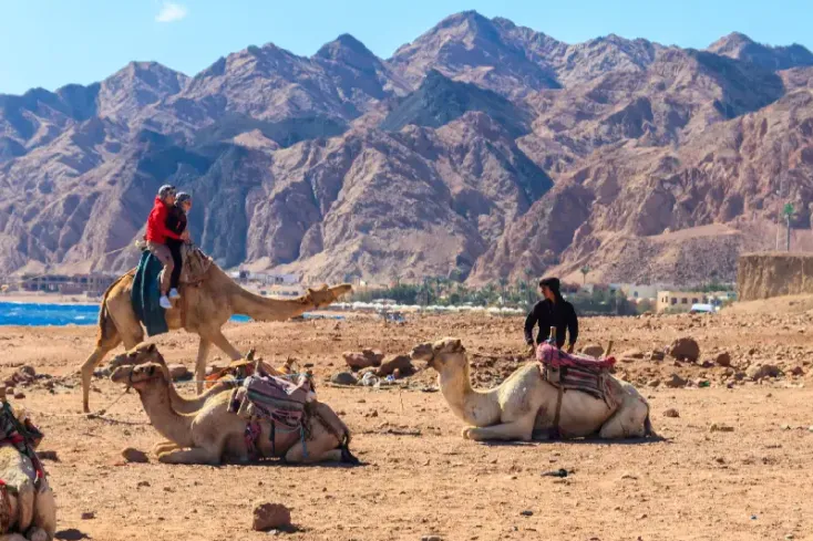 Experience the Sunrise from Mount Sinai