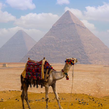Egypt Group Tours