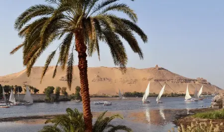 Best Egypt Tours from Canada: Cairo, Nile Cruise, and Red Sea Escape